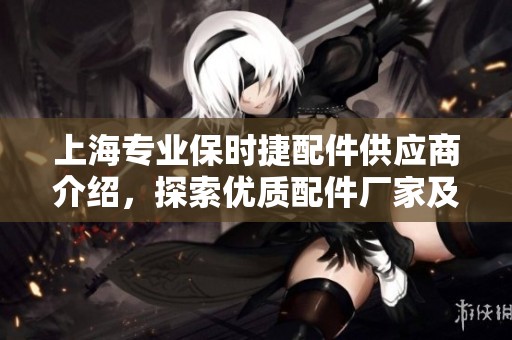 上海专业保时捷配件供应商介绍，探索优质配件厂家及企业资源信息