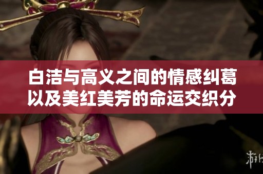白洁与高义之间的情感纠葛以及美红美芳的命运交织分析