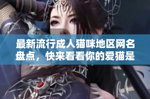 最新流行成人猫咪地区网名盘点，快来看看你的爱猫是否上榜