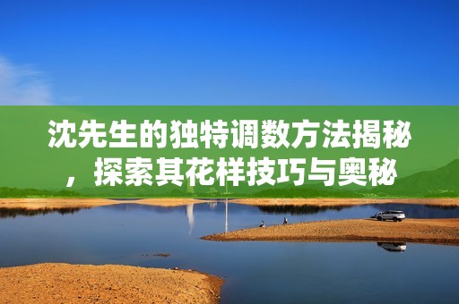 沈先生的独特调数方法揭秘，探索其花样技巧与奥秘