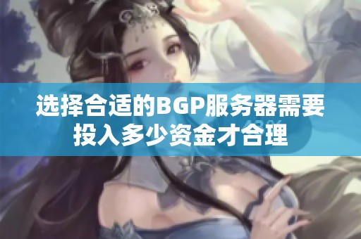 选择合适的BGP服务器需要投入多少资金才合理