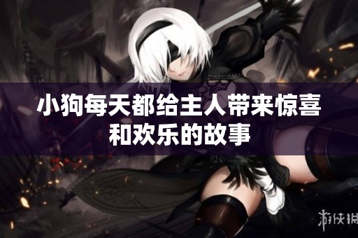 小狗每天都给主人带来惊喜和欢乐的故事