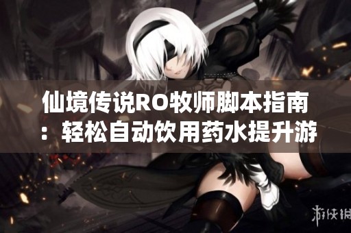 仙境传说RO牧师脚本指南：轻松自动饮用药水提升游戏乐趣与效率