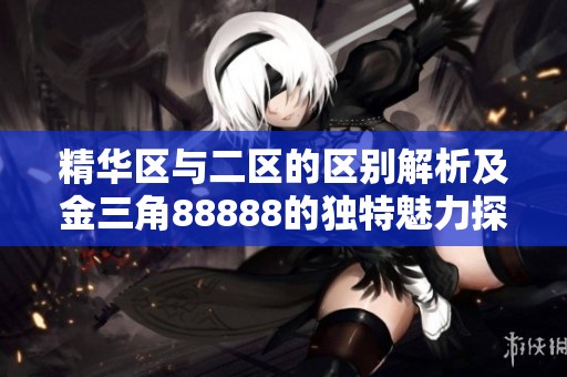 精华区与二区的区别解析及金三角88888的独特魅力探讨