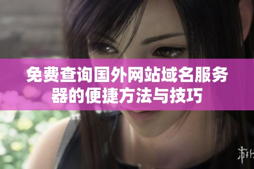 免费查询国外网站域名服务器的便捷方法与技巧