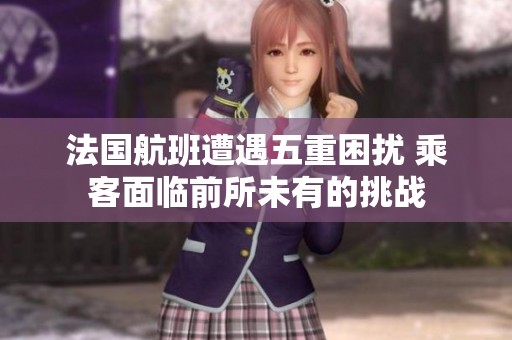 法国航班遭遇五重困扰 乘客面临前所未有的挑战