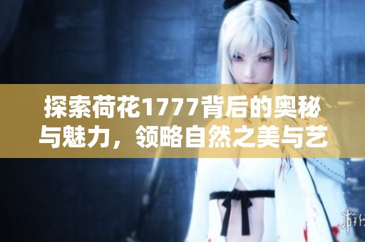 探索荷花1777背后的奥秘与魅力，领略自然之美与艺术的结合