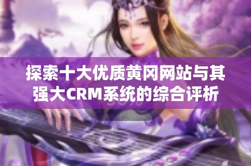 探索十大优质黄冈网站与其强大CRM系统的综合评析