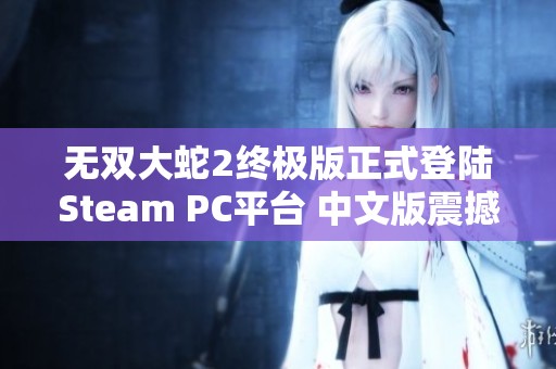 无双大蛇2终极版正式登陆Steam PC平台 中文版震撼发布引发玩家热议