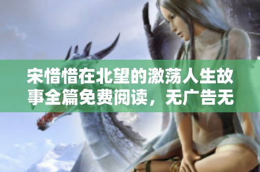 宋惜惜在北望的激荡人生故事全篇免费阅读，无广告无干扰