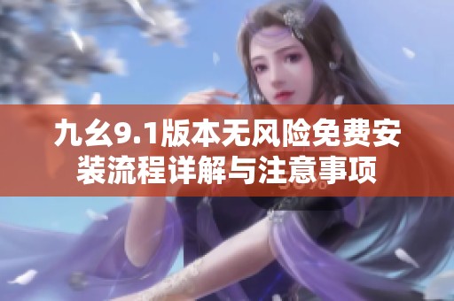 九幺9.1版本无风险免费安装流程详解与注意事项
