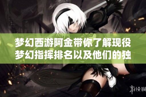 梦幻西游阿金带你了解现役梦幻指挥排名以及他们的独特风格与实力解析