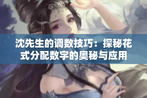 沈先生的调数技巧：探秘花式分配数字的奥秘与应用