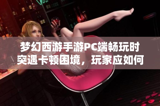 梦幻西游手游PC端畅玩时突遇卡顿困境，玩家应如何有效应对与调整策略