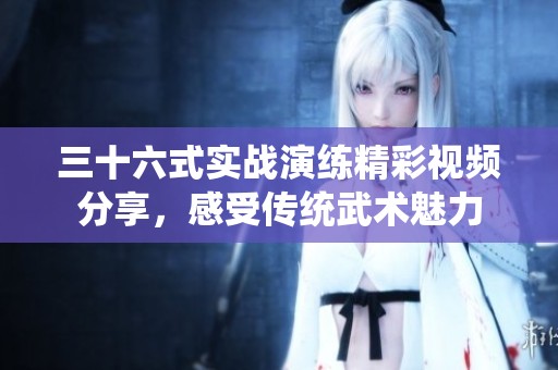 三十六式实战演练精彩视频分享，感受传统武术魅力