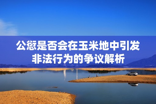 公愆是否会在玉米地中引发非法行为的争议解析