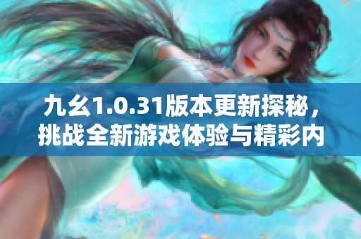九幺1.0.31版本更新探秘，挑战全新游戏体验与精彩内容