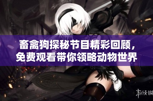 畜禽狗探秘节目精彩回顾，免费观看带你领略动物世界的魅力