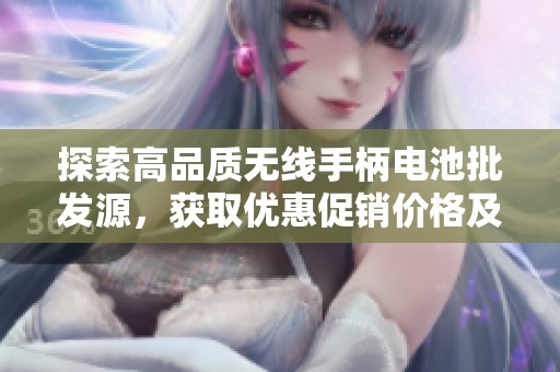 探索高品质无线手柄电池批发源，获取优惠促销价格及优质产地信息