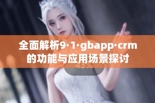 全面解析9·1·gbapp·crm的功能与应用场景探讨