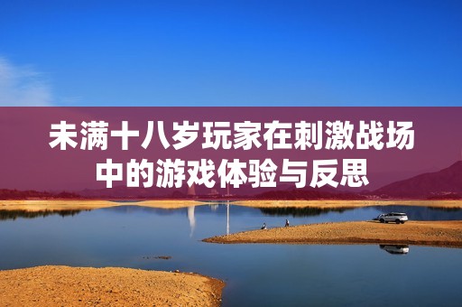 未满十八岁玩家在刺激战场中的游戏体验与反思