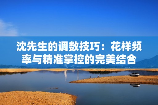 沈先生的调数技巧：花样频率与精准掌控的完美结合