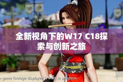 全新视角下的W17 C18探索与创新之旅