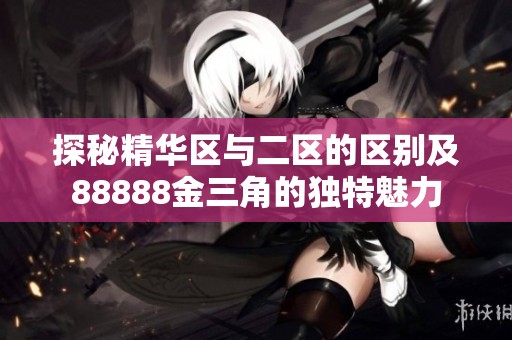 探秘精华区与二区的区别及88888金三角的独特魅力