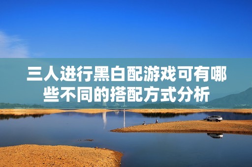 三人进行黑白配游戏可有哪些不同的搭配方式分析
