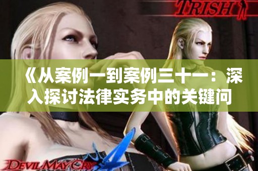 《从案例一到案例三十一：深入探讨法律实务中的关键问题》