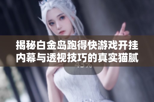 揭秘白金岛跑得快游戏开挂内幕与透视技巧的真实猫腻与风险解析