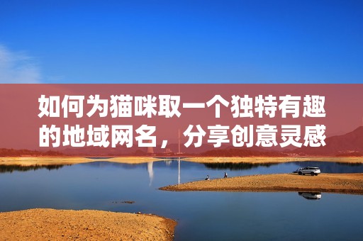 如何为猫咪取一个独特有趣的地域网名，分享创意灵感与建议