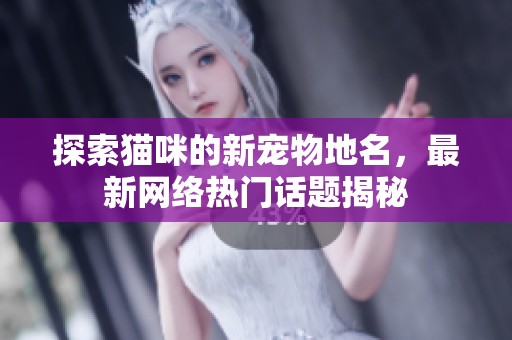 探索猫咪的新宠物地名，最新网络热门话题揭秘