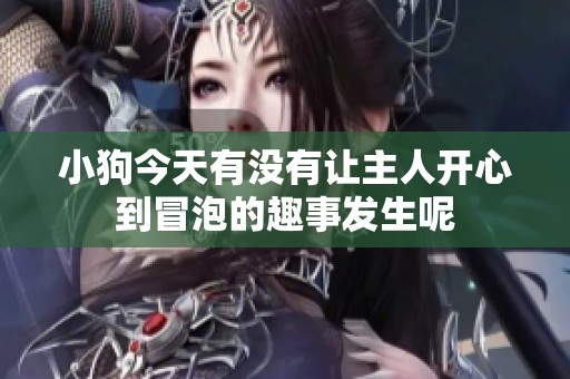 小狗今天有没有让主人开心到冒泡的趣事发生呢