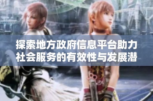 探索地方政府信息平台助力社会服务的有效性与发展潜力