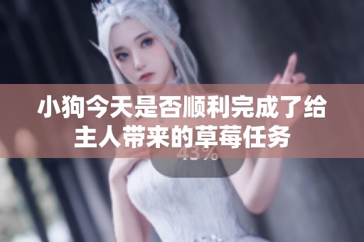 小狗今天是否顺利完成了给主人带来的草莓任务