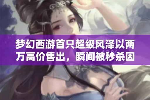 梦幻西游首只超级风泽以两万高价售出，瞬间被秒杀因其攻速优势引发玩家热议