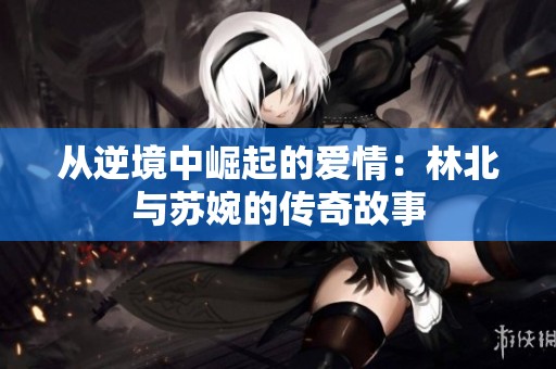 从逆境中崛起的爱情：林北与苏婉的传奇故事