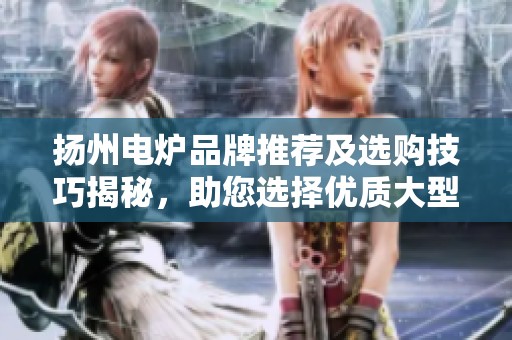 扬州电炉品牌推荐及选购技巧揭秘，助您选择优质大型电炉的全面指南