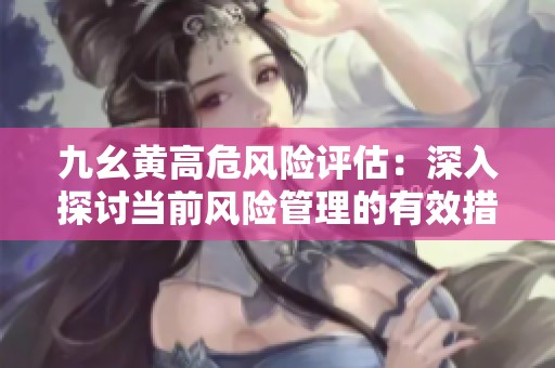 九幺黄高危风险评估：深入探讨当前风险管理的有效措施
