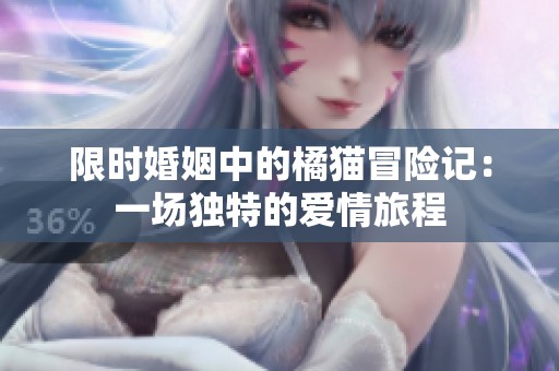 限时婚姻中的橘猫冒险记：一场独特的爱情旅程