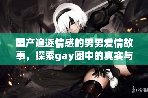 国产追逐情感的男男爱情故事，探索gay圈中的真实与激情