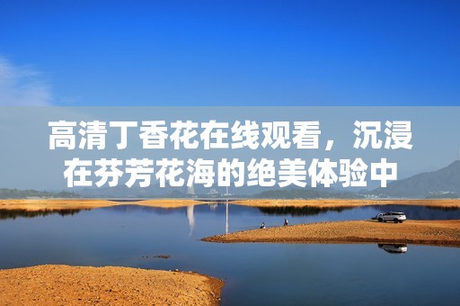 高清丁香花在线观看，沉浸在芬芳花海的绝美体验中