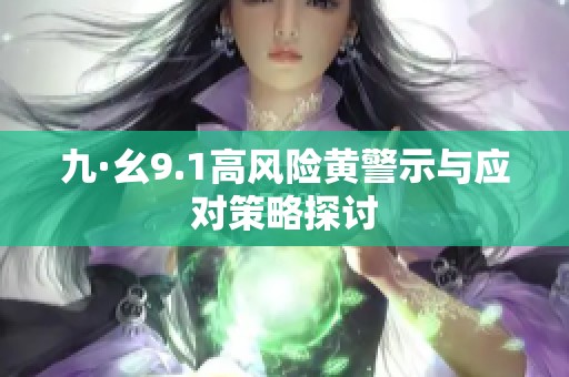 九·幺9.1高风险黄警示与应对策略探讨