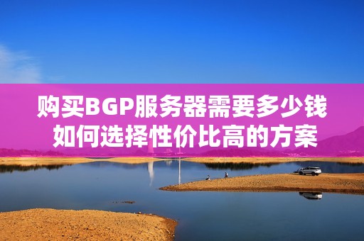 购买BGP服务器需要多少钱 如何选择性价比高的方案