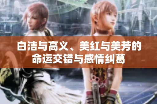 白洁与高义、美红与美芳的命运交错与感情纠葛