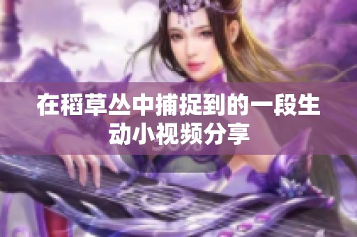 在稻草丛中捕捉到的一段生动小视频分享