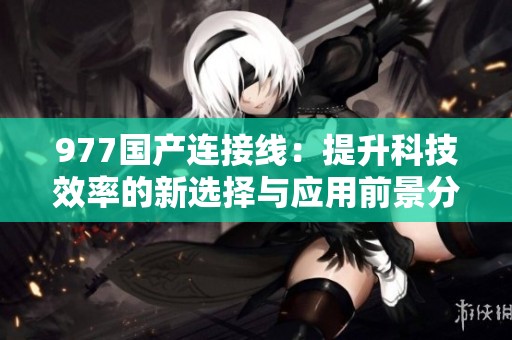977国产连接线：提升科技效率的新选择与应用前景分析