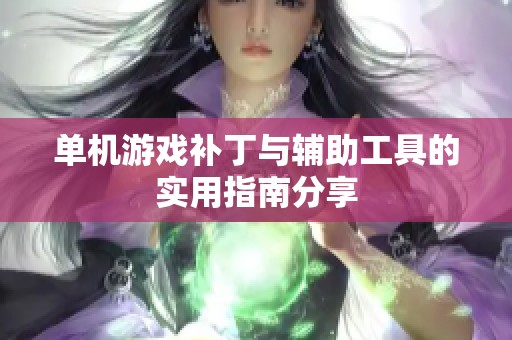 单机游戏补丁与辅助工具的实用指南分享