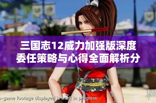 三国志12威力加强版深度委任策略与心得全面解析分享